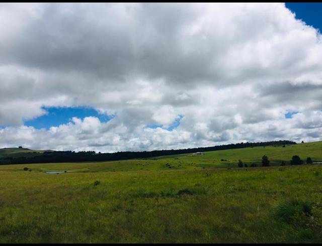 LAND FOR SALE IN MACHADODORP RURAL